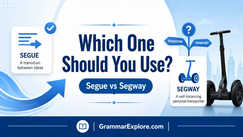 which one should you use