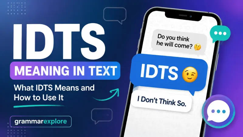 What Does IDTS Mean in Text?