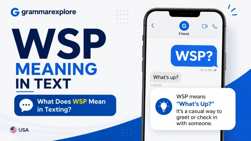 WSP Meaning in Text: Definition, Examples, and Usage