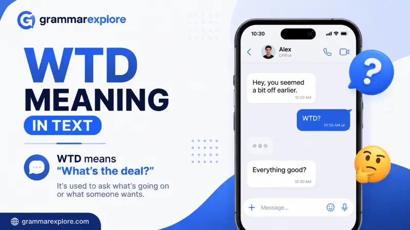 WTD Meaning in Text: Definition, Examples, and Usage