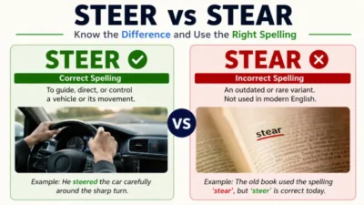steer vs stear