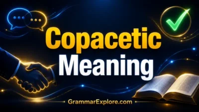 copacetic meaning