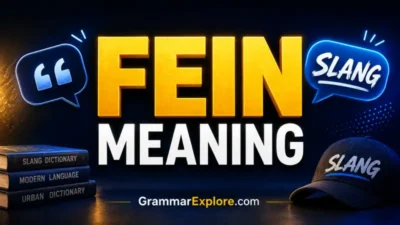 fein meaning