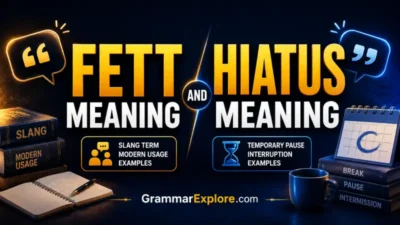 fett meaning and hiatus meaning
